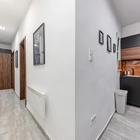 公寓 Da Vinci Loft - Stylish Loft By Corvin, Ac & Smart Tv 布达佩斯